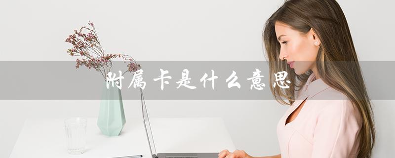 附属卡是什么意思（电话卡附属卡是什么）