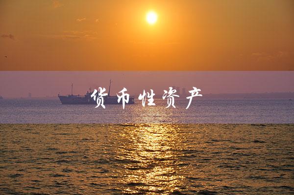 货币性资产（货币性资产和非货币性资产的区别是什么）