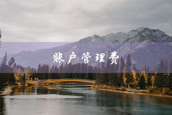 账户管理费（取消账户管理费）
