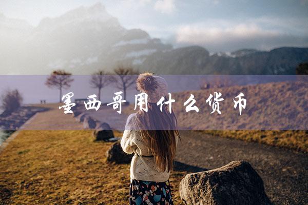 墨西哥用什么货币（墨西哥用何货币换人民币）