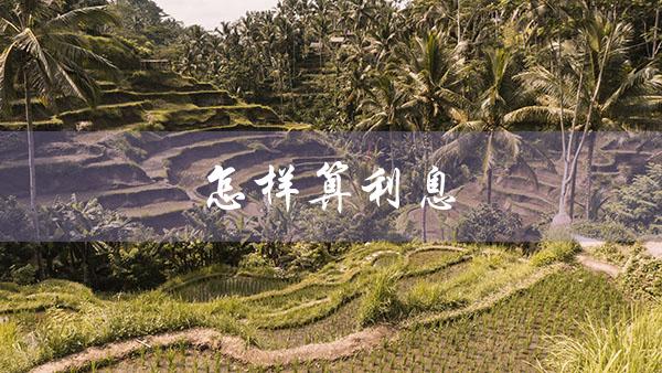 怎样算利息（算利息多少）