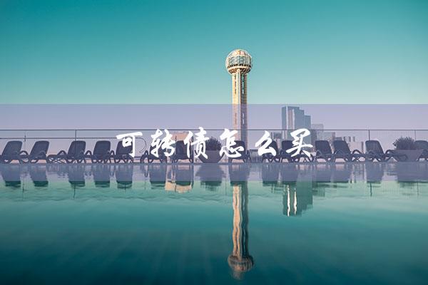 可转债怎么买（可转债如何T+0交易）