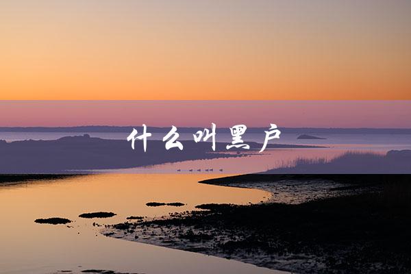 什么叫黑户（什么是银行黑户）