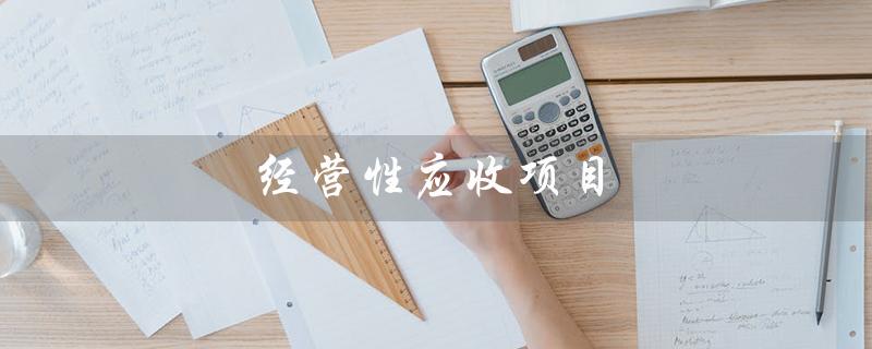 经营性应收项目（经营性应收项目公式是什么）