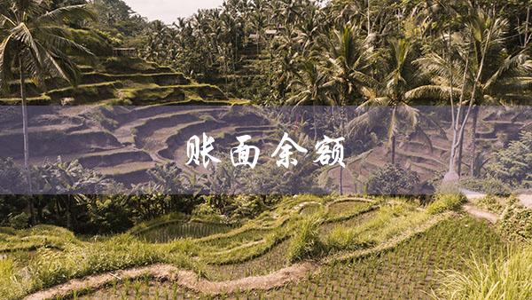 账面余额（账面余额、价值、净值的含义是什么）