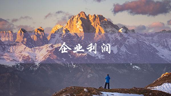 企业利润（企业利润税率）