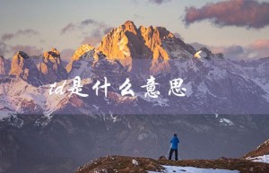 TD的全称是什么？