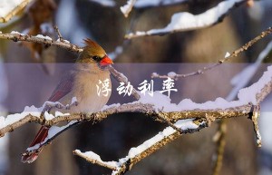 浮动利率（2023年浮动利率是什么）