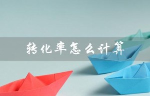 转化率怎么计算（Excel如何计算转化率）