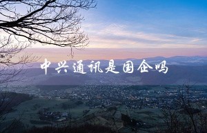 中兴通讯是国有控股企业，但不完全是国企。