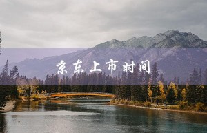 京东上市时间（京东何时上市）