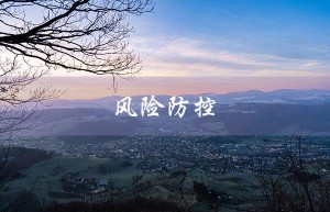 风险防控（风险防控措施有哪些）
