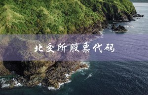 北交所股票代码（北交所股票代码查询）