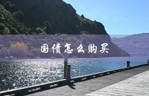 国债怎么购买（国债购买风险）