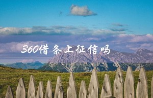 360借条上征信吗（360借条征信影响贷款吗）