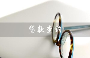 贷款查询（如何查询个人征信贷款）