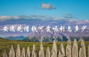 安逸花借钱可靠吗利息多少（安逸花借款可靠利息多少）