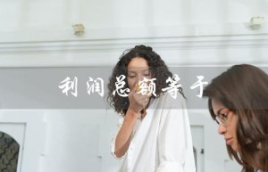利润总额等于（利润总额公式是什么）
