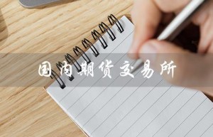 国内期货交易所（国内期货交易所有哪些）