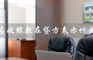 应收账款在贷方表示什么（应付账款贷方表示什么）