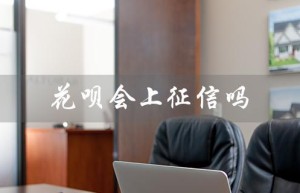 花呗会上征信吗（花呗上征信影响房贷吗）