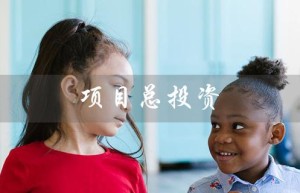 项目总投资（项目总投资计算公式是什么）