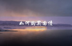 如何购买国债（如何购买国债逆回购）