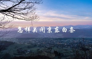 怎样关闭京东白条（如何关闭京东白条）