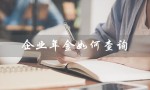 企业年金如何查询（如何查询企业年金个人账户）