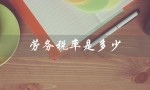 劳务税率是多少（劳务税率几点）