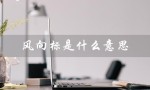 风向标是什么意思（人的风向标是什么）