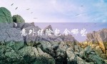 意外保险包含哪些（意外保险理赔范围是什么）