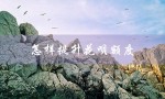 怎样提升花呗额度（花呗额度10000怎么提）