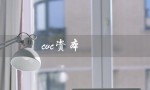 cvc资本（cvc资本意义是什么）