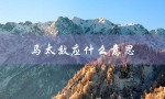 马太效应什么意思（马太效应是什么）