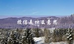 授信是什么意思（个人授信是什么）