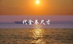 代金券尺寸（代金券尺寸多大）