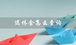 退休金怎么查询（退休金个人账户查询）