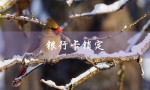 银行卡锁定（银行卡锁定多久可用）