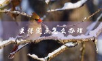 医保定点怎么办理（农村医保定点怎么办理）