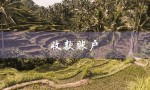 收款账户（收款账户是什么）