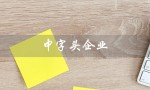 中字头企业（中字头企业是什么）