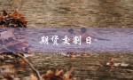 期货交割日（期货交割日是哪天）