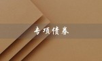 专项债券（专项债券是什么意思）