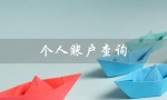 个人账户查询（社保个人账户查询是什么）