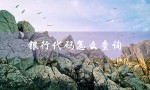 银行代码怎么查询（农行代码怎么查）