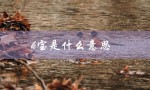 k宝是什么意思（什么是银行卡k宝）