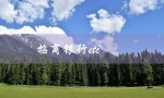 招商银行etc（招商银行etc申请流程是什么）