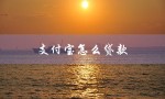 支付宝怎么贷款（支付宝如何借款）