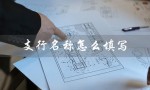 支行名称怎么填写（支行名称填写图片）